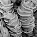 abstract photography - Plasticity III