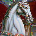 surreal carousel horse - Gritty Grey